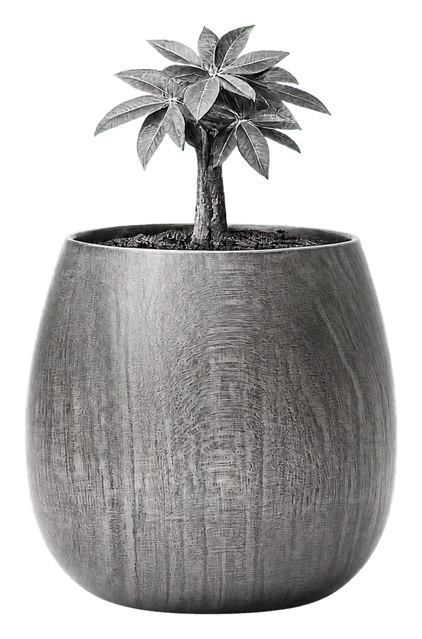 Potted plant representing your business at the centre