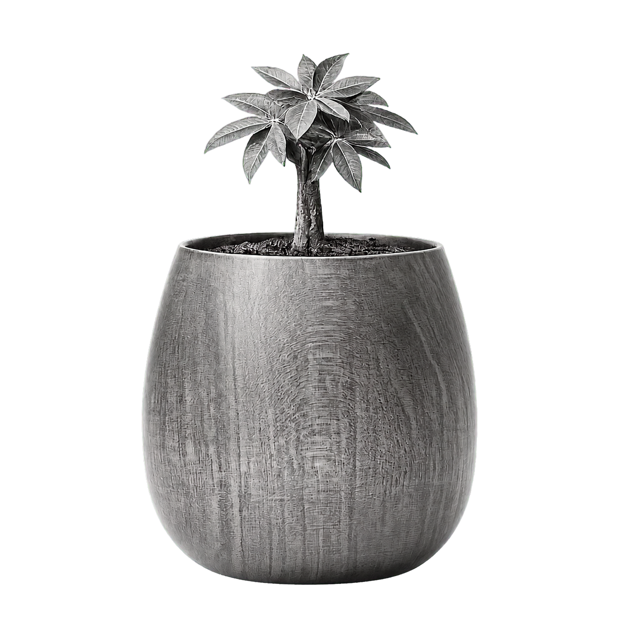 Black-and-white potted plant in a rounded wooden planter
