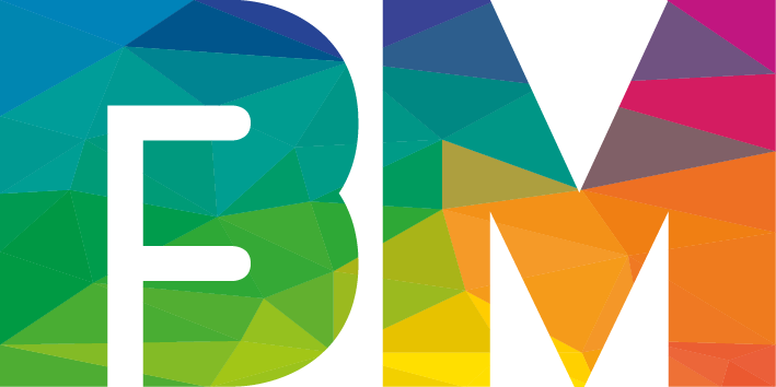 BridgeMedia.ie Logo